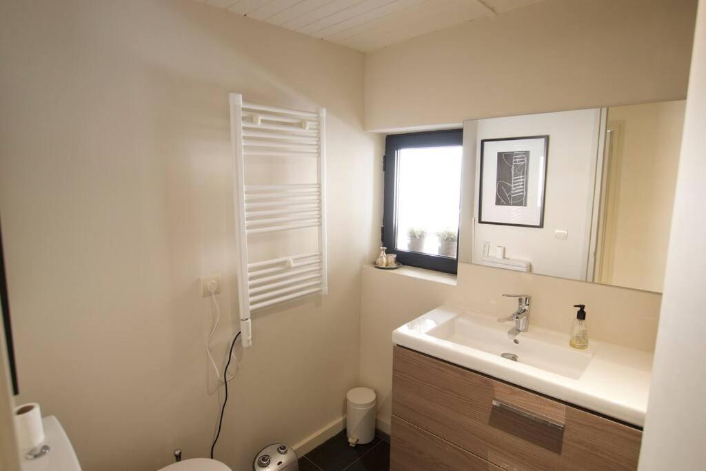 Apartament Central Amb Terrassa Alp Bagian luar foto
